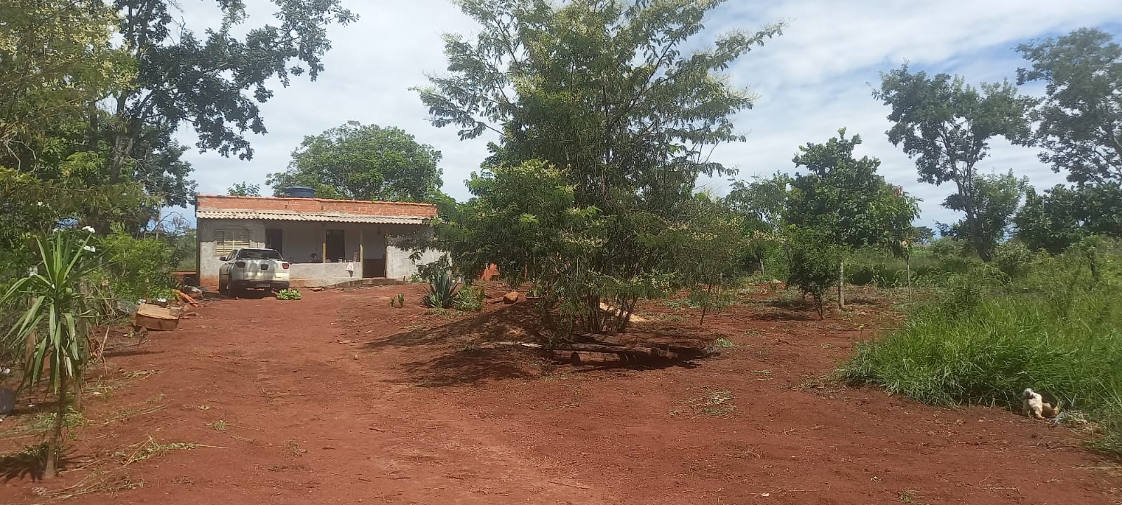 WhatsApp Image 2025-10-10 at 11.20.23 (11)