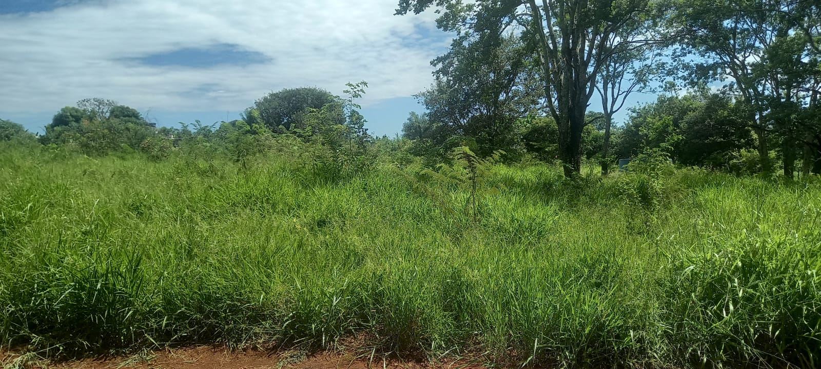 WhatsApp Image 2025-10-10 at 11.20.23 (13)