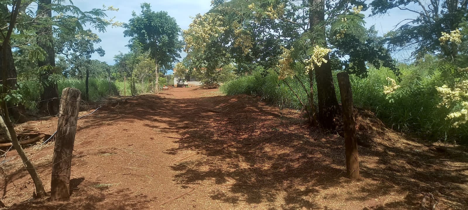 WhatsApp Image 2025-10-10 at 11.20.23 (14)