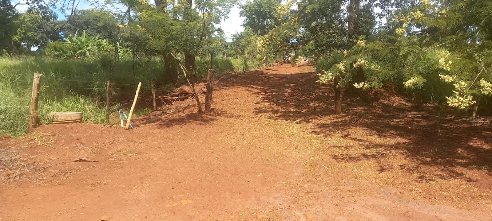 WhatsApp Image 2025-10-10 at 11.20.23 (15)