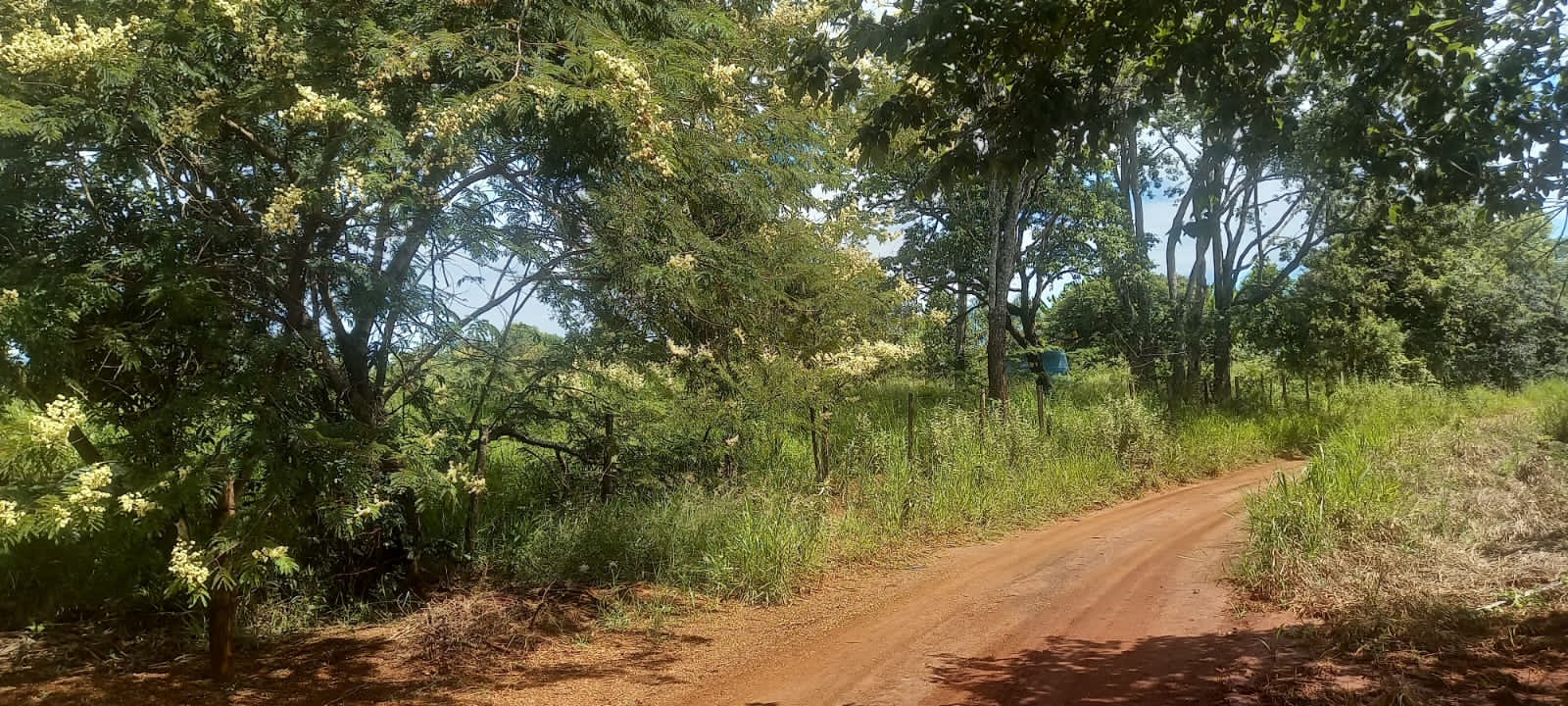 WhatsApp Image 2025-10-10 at 11.20.23 (16)