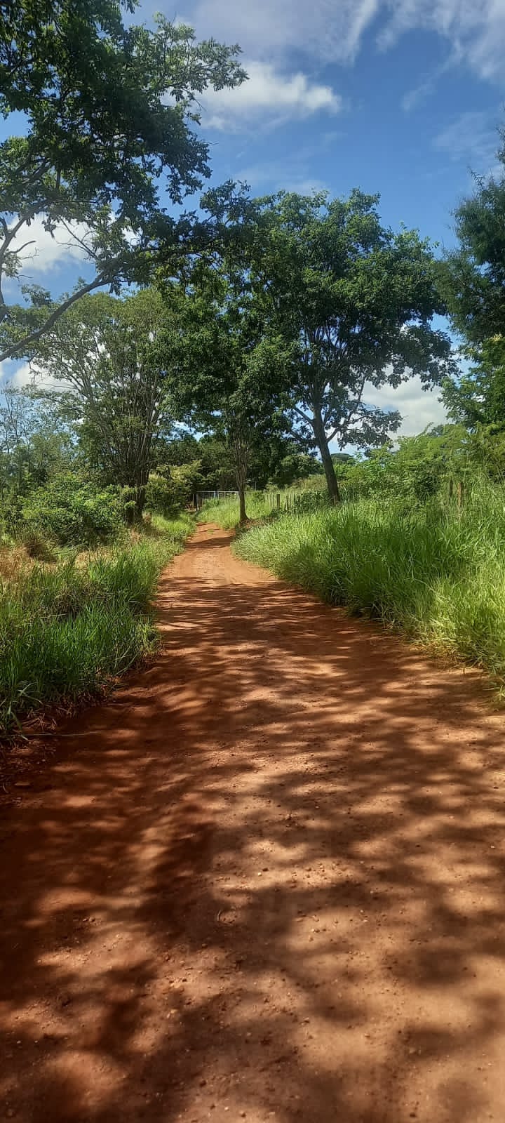 WhatsApp Image 2025-10-10 at 11.20.23 (17)