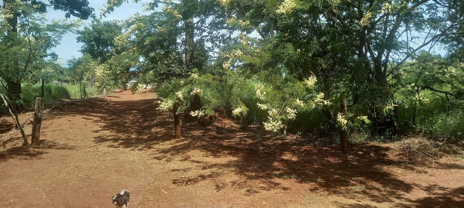 WhatsApp Image 2025-10-10 at 11.20.23 (18)