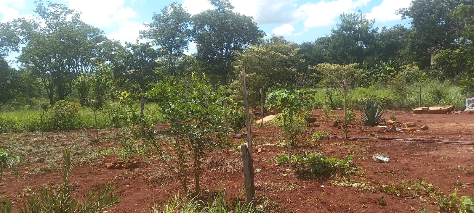 WhatsApp Image 2025-10-10 at 11.20.23 (2)