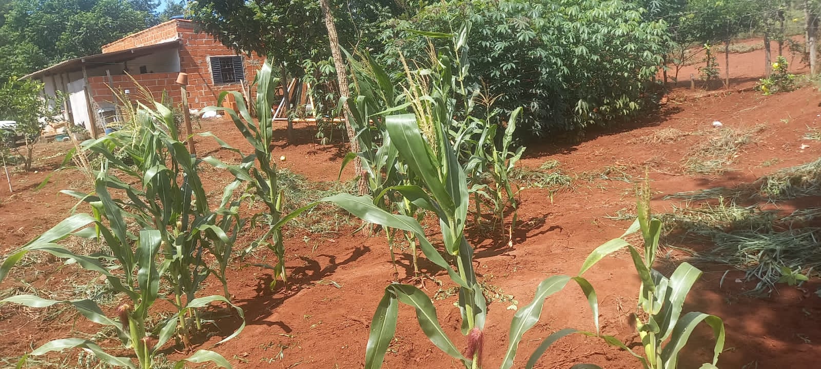 WhatsApp Image 2025-10-10 at 11.20.23 (5)