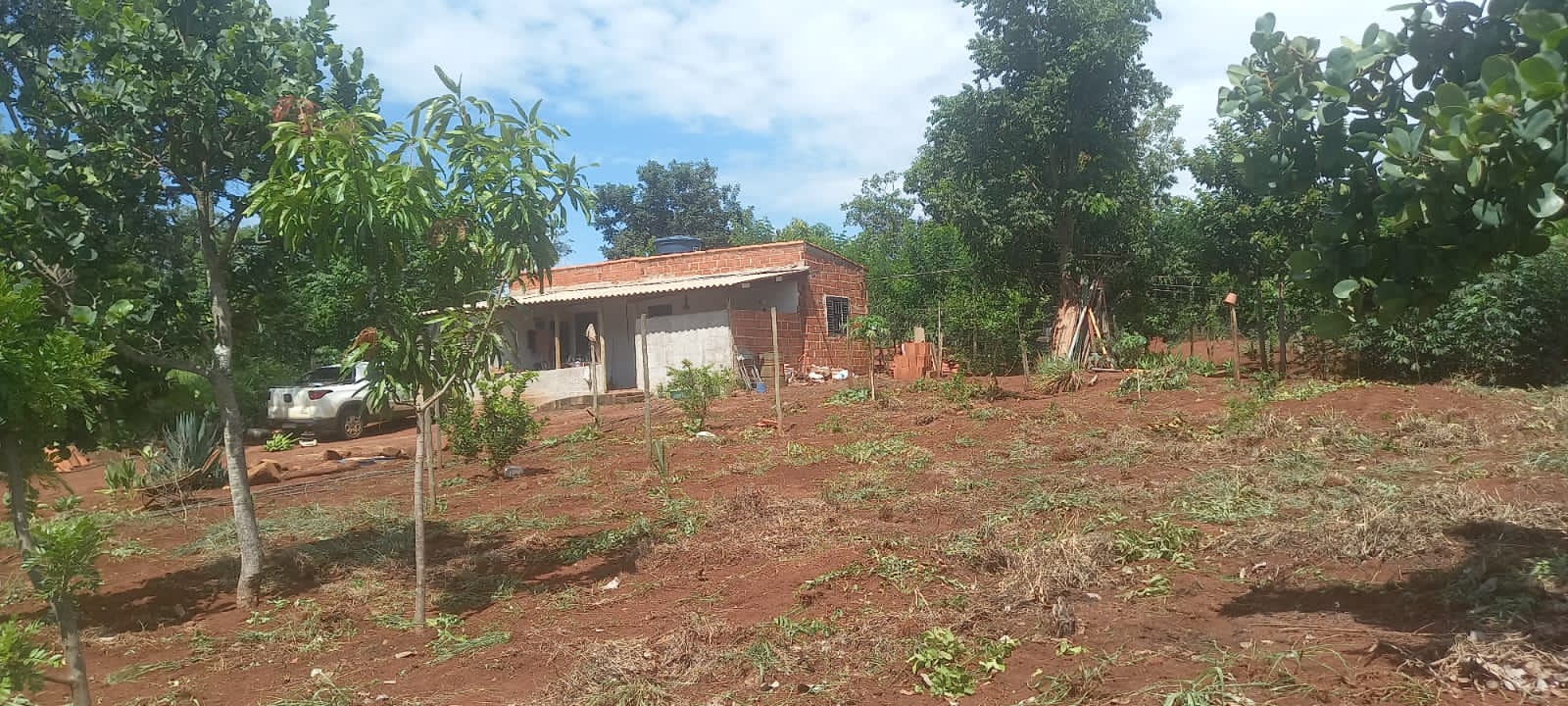 WhatsApp Image 2025-10-10 at 11.20.23 (6)