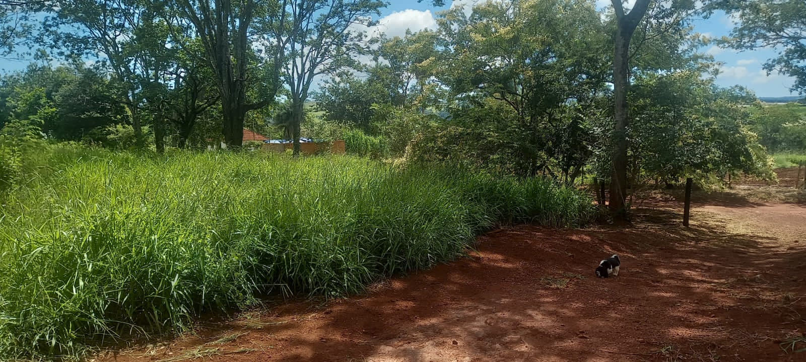 WhatsApp Image 2025-10-10 at 11.20.23 (9)