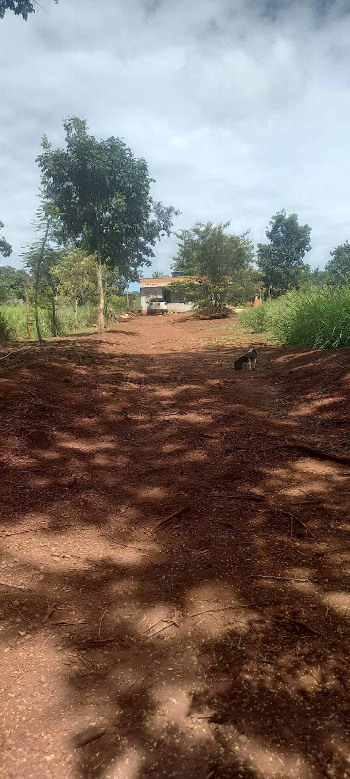 WhatsApp Image 2025-10-10 at 11.20.24 (1)