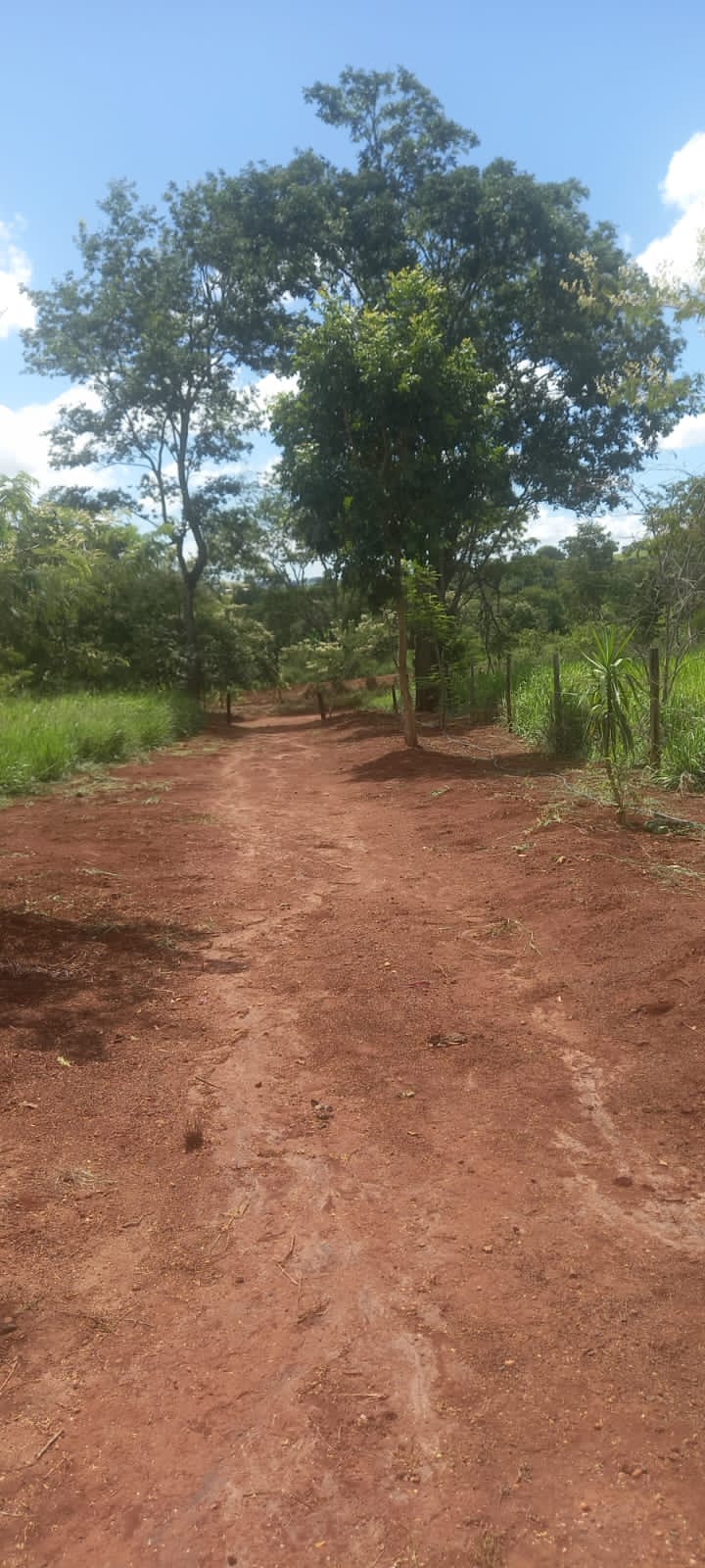 WhatsApp Image 2025-10-10 at 11.20.24 (2)