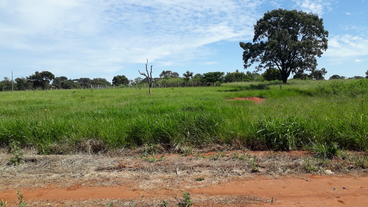 WhatsApp Image 2023-03-30 at 14.40.51