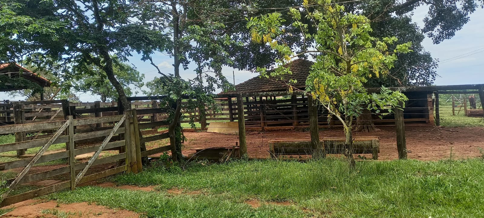 WhatsApp Image 2024-11-04 at 10.46.43