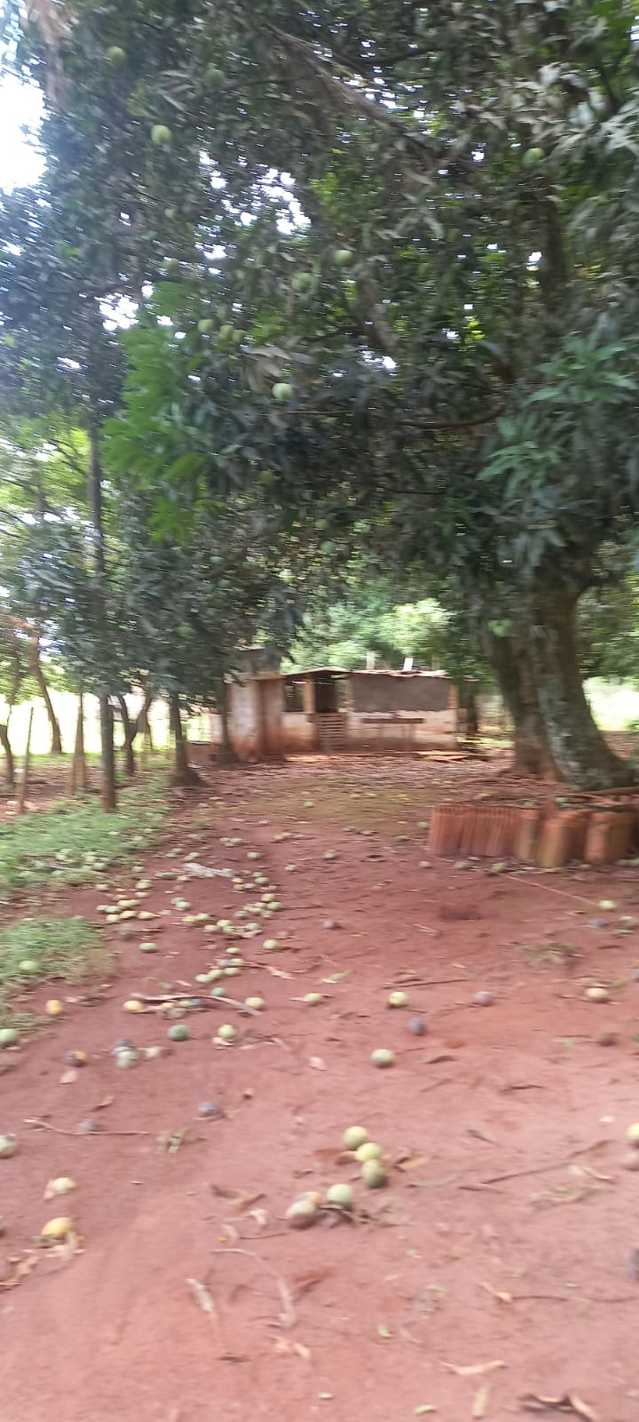 WhatsApp Image 2024-11-04 at 10.46.45 (1)