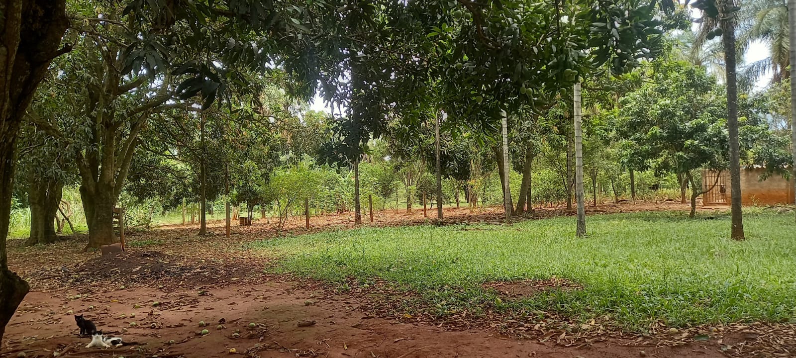 WhatsApp Image 2024-11-04 at 10.46.45 (2)