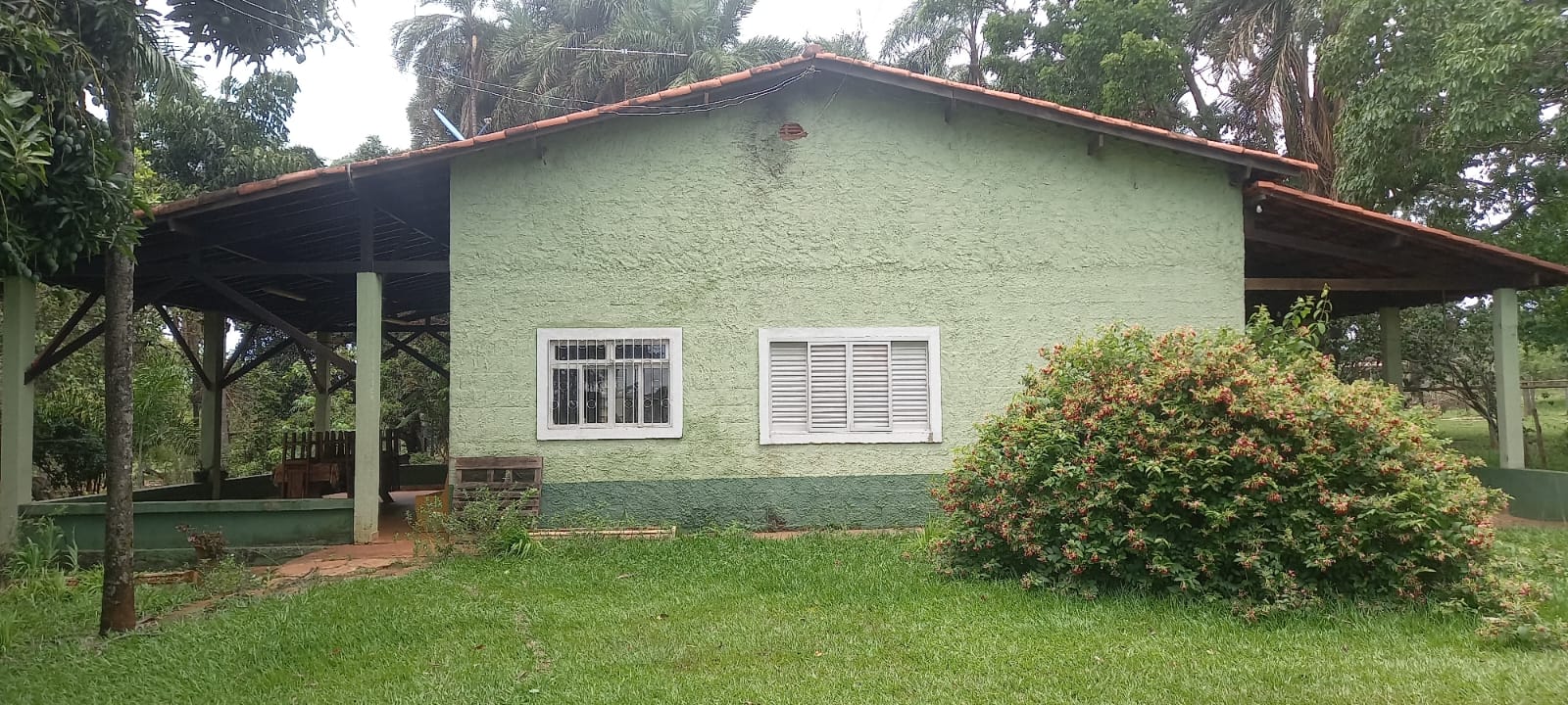 WhatsApp Image 2024-11-04 at 10.46.45