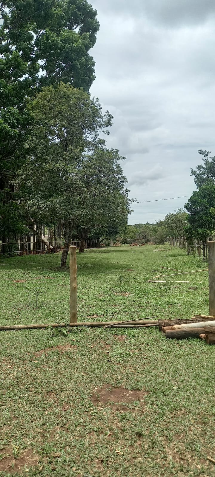 WhatsApp Image 2024-11-04 at 10.46.46 (1)