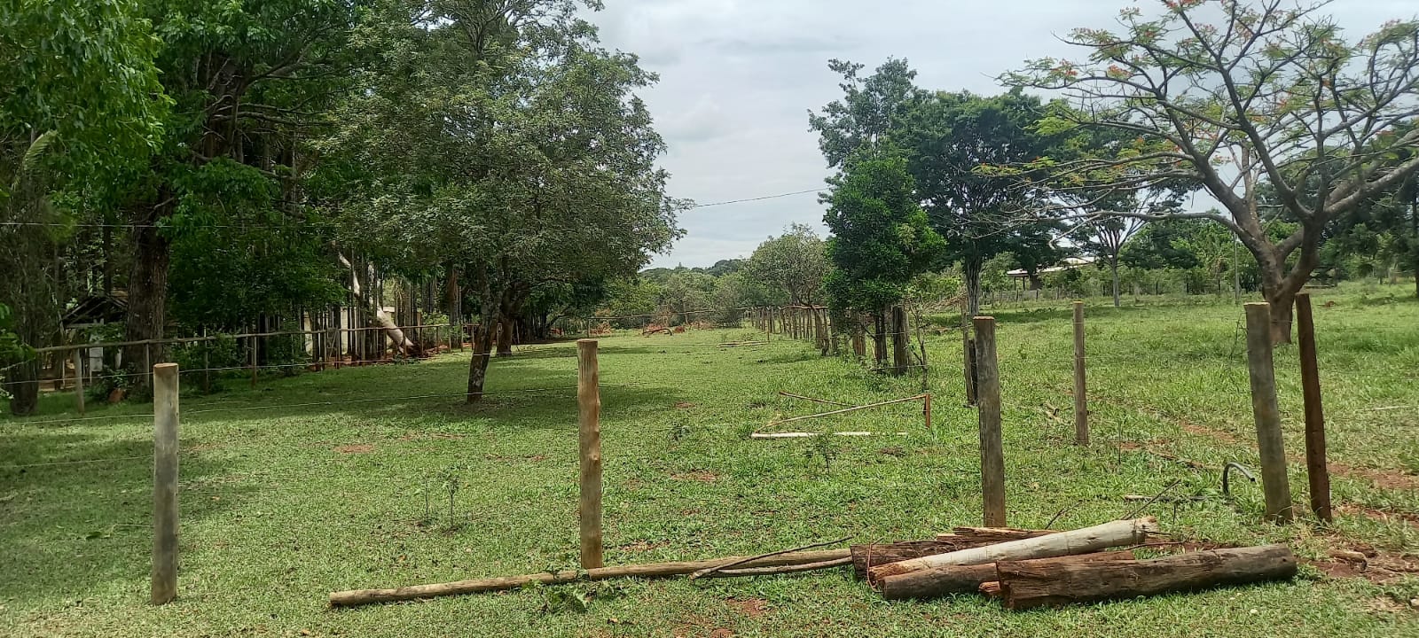 WhatsApp Image 2024-11-04 at 10.46.46