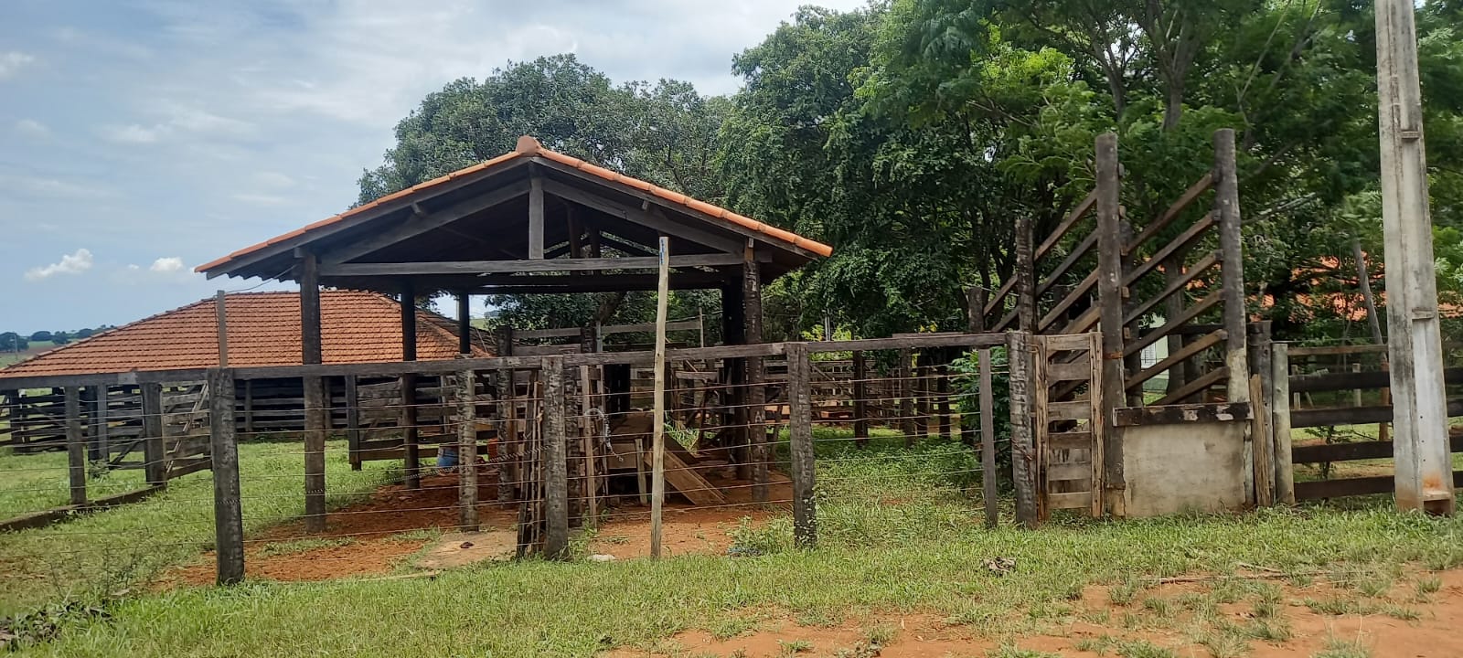 WhatsApp Image 2024-11-04 at 10.46.47 (1)