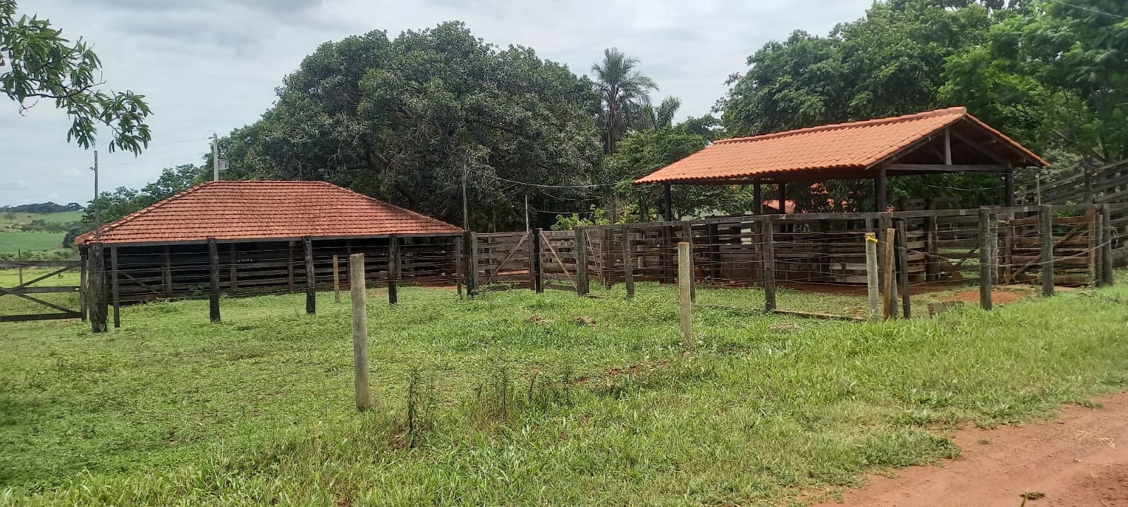 WhatsApp Image 2024-11-04 at 10.46.47 (3)