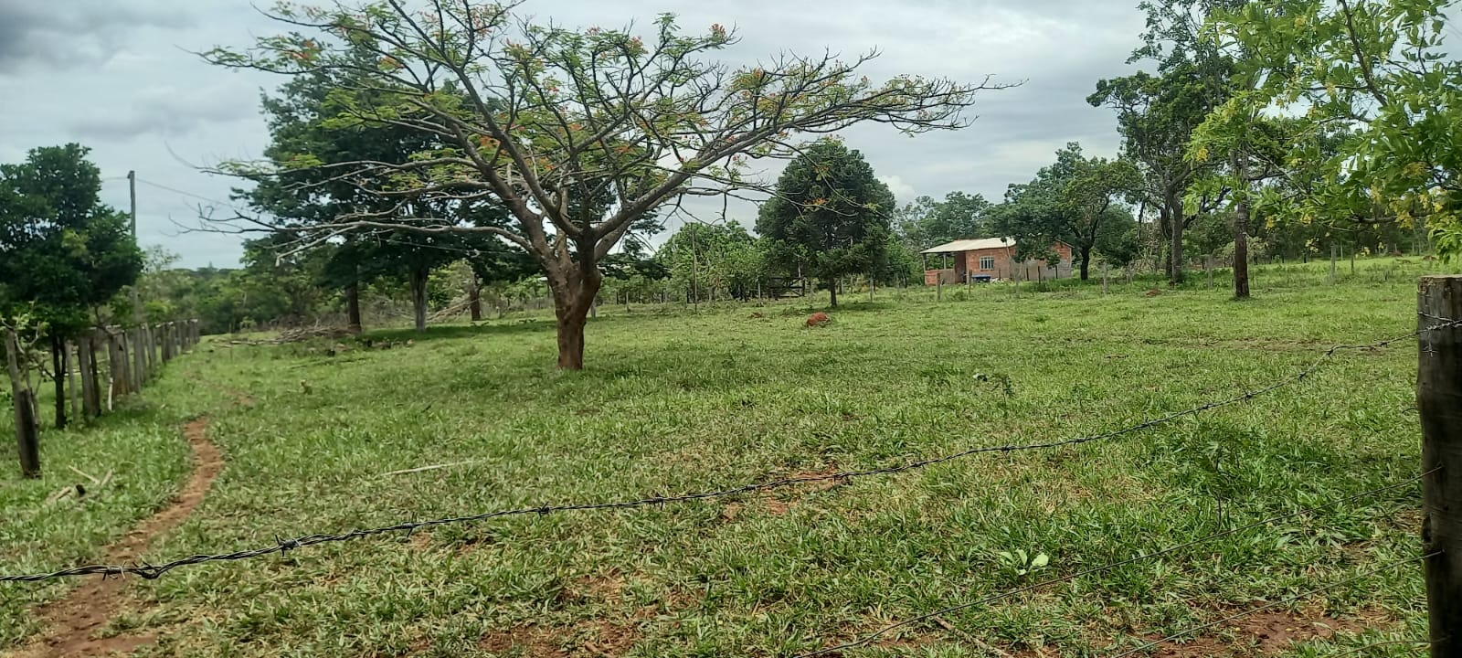 WhatsApp Image 2024-11-04 at 10.46.47 – Copia