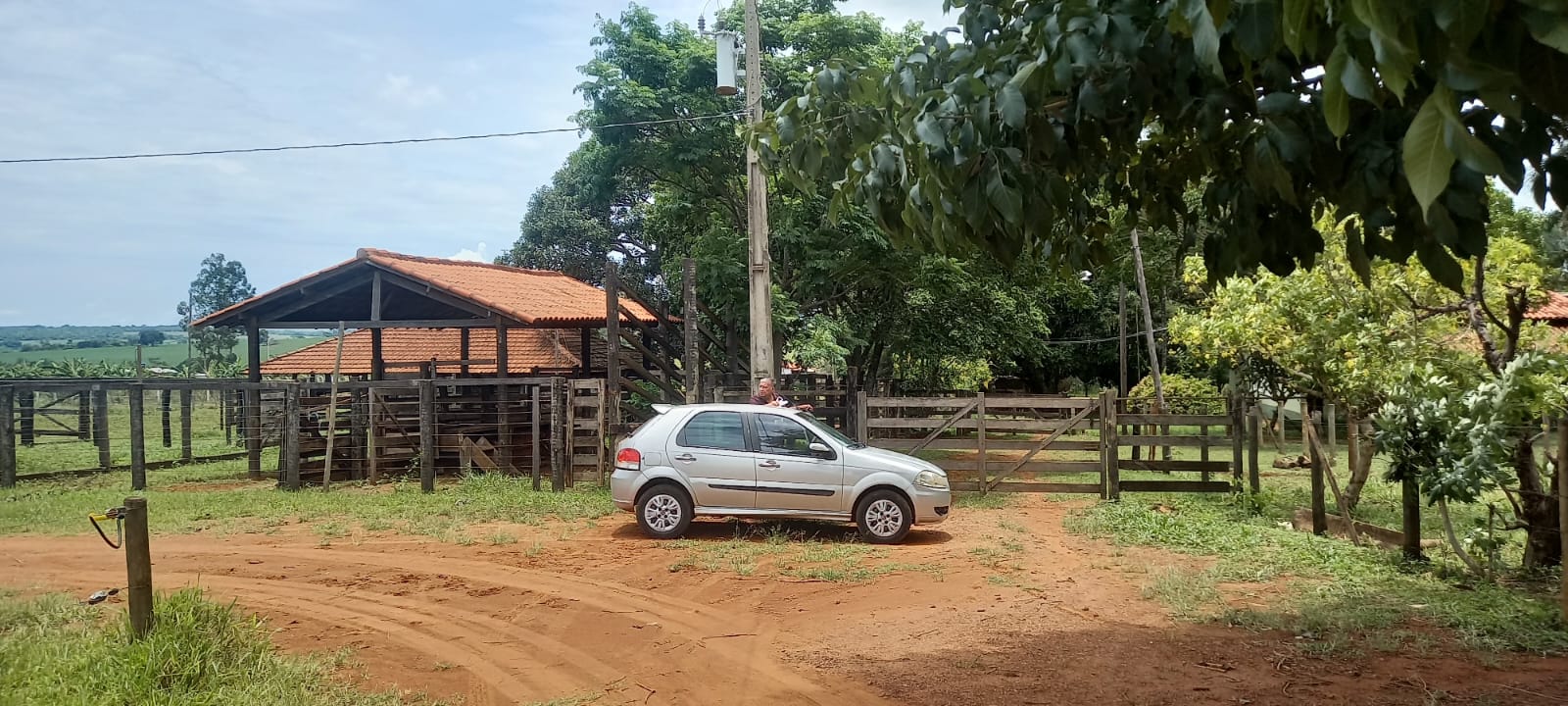 WhatsApp Image 2024-11-04 at 10.46.48 (1)