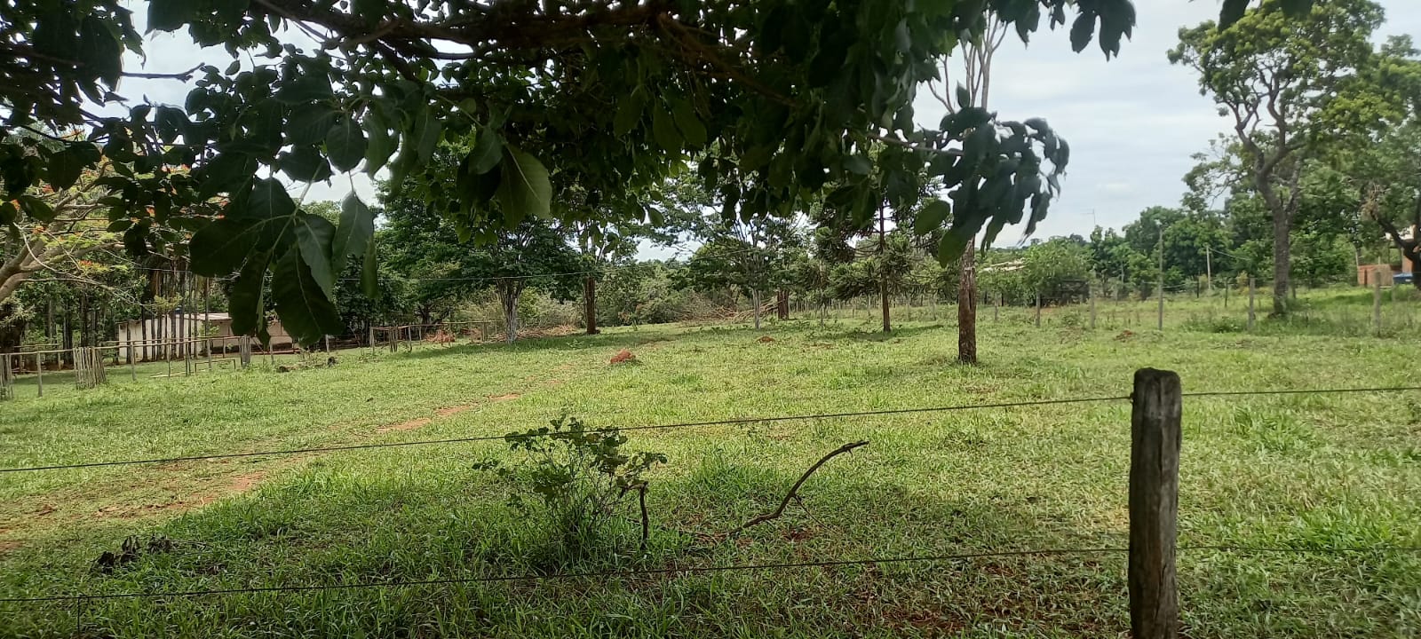 WhatsApp Image 2024-11-04 at 10.46.48 – Copia