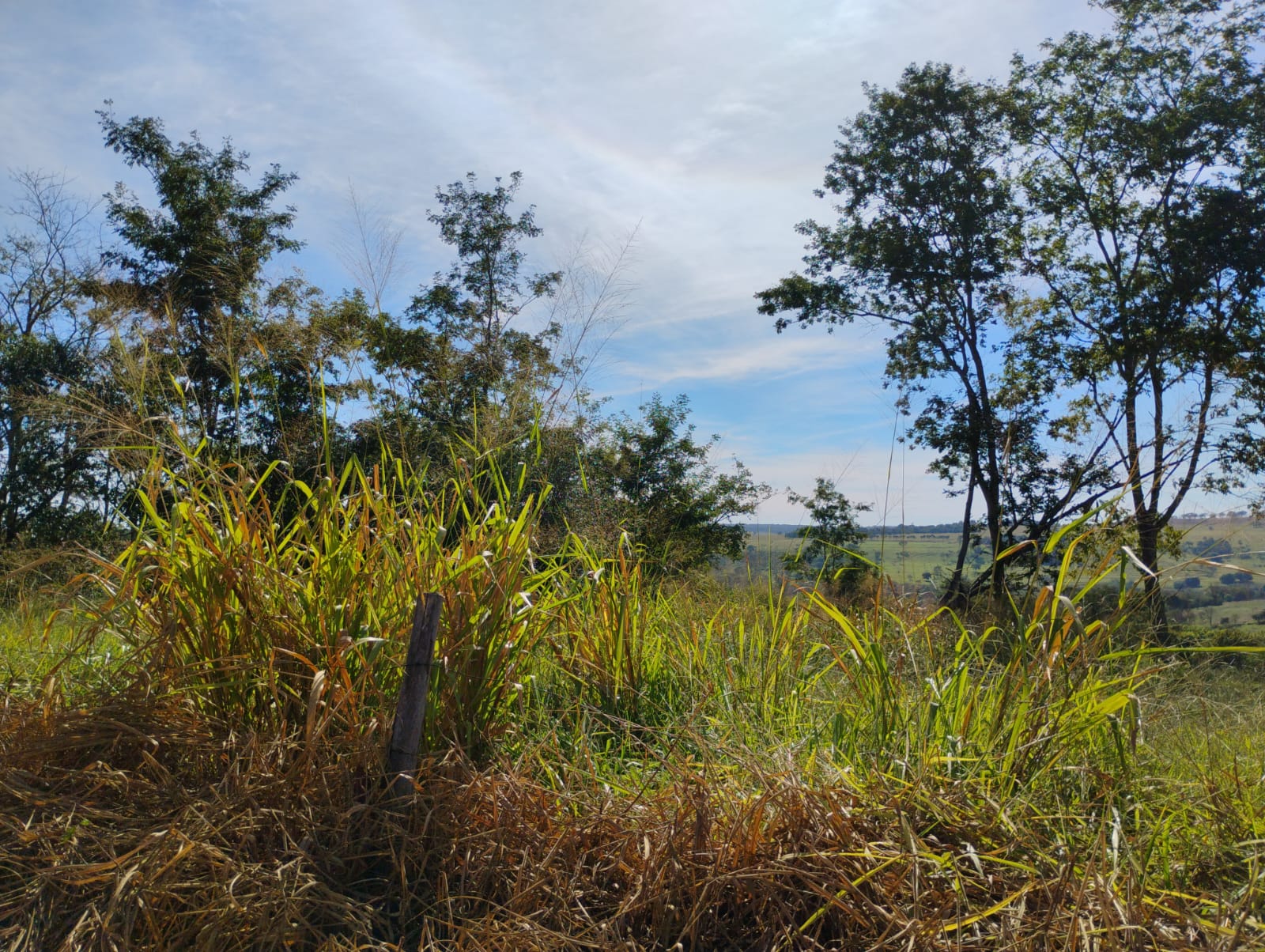 WhatsApp Image 2025-06-09 at 08.53.57