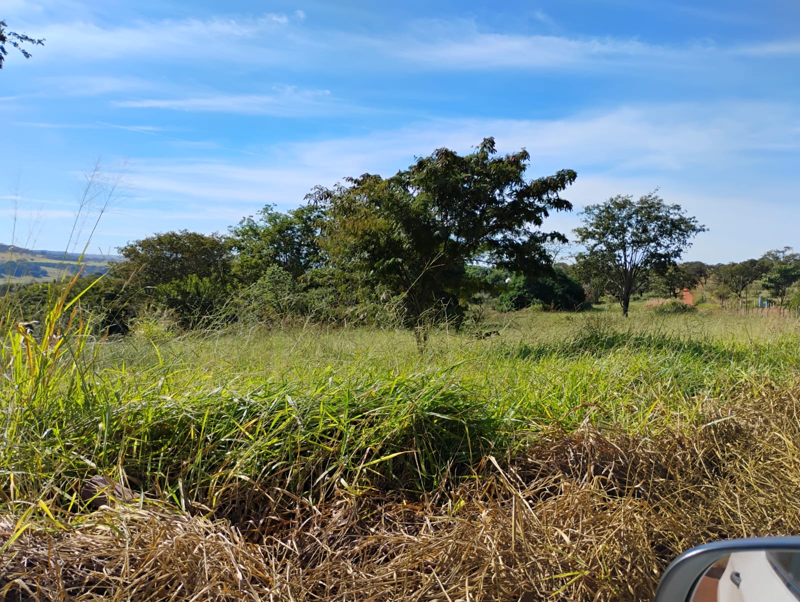 WhatsApp Image 2025-06-09 at 08.53.58