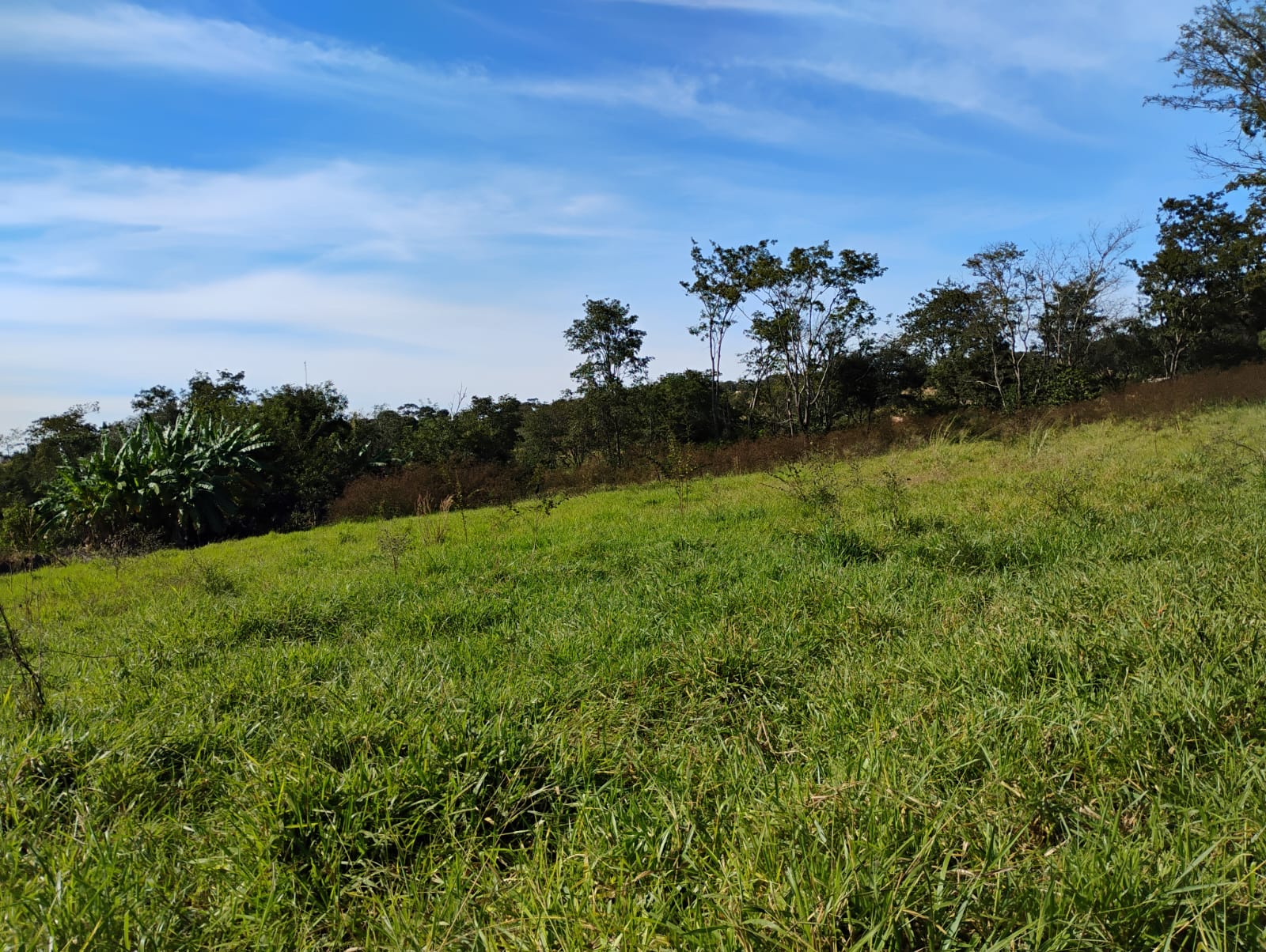 WhatsApp Image 2025-06-09 at 08.54.00 (1)