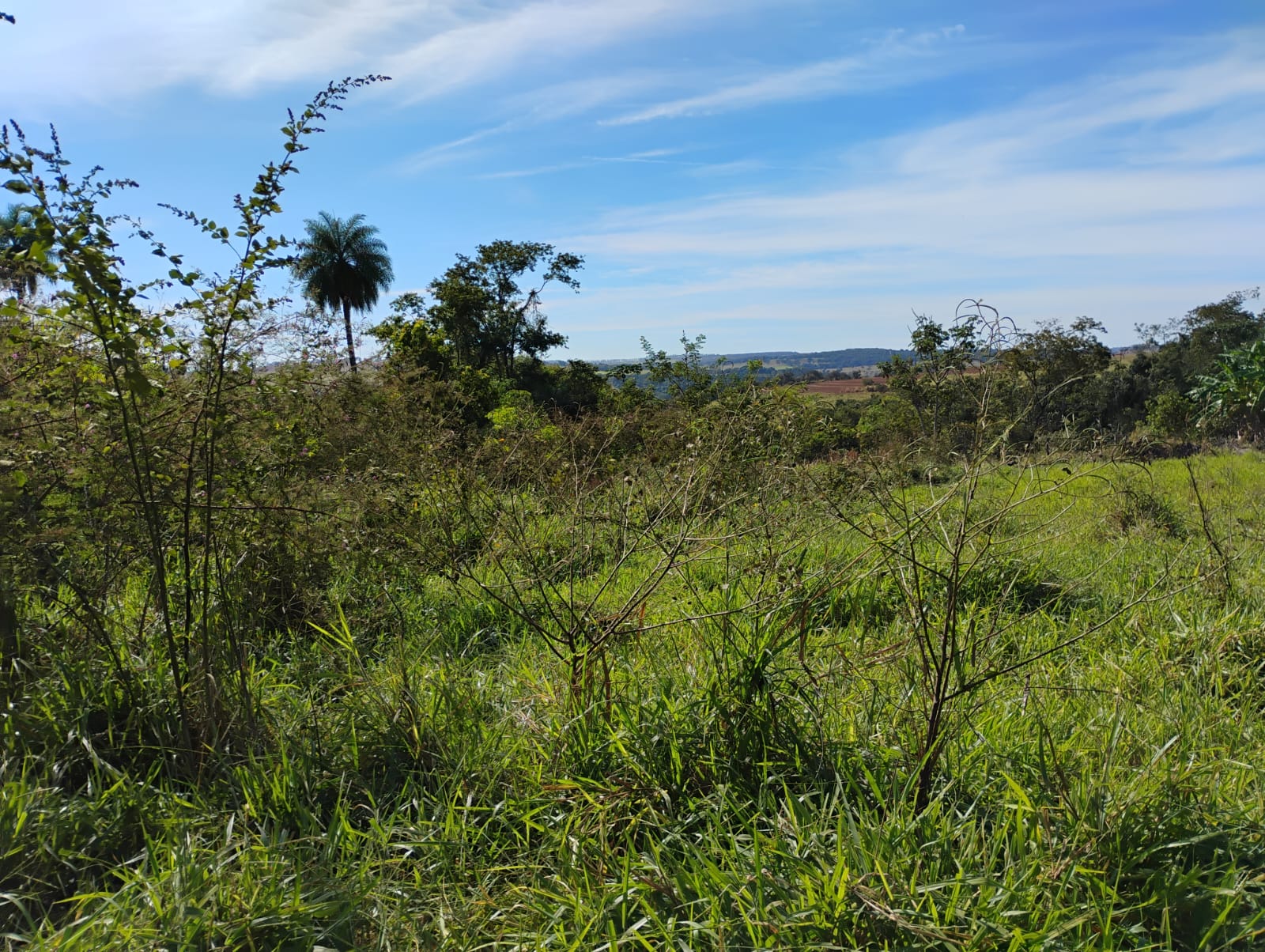 WhatsApp Image 2025-06-09 at 08.54.00 (2)